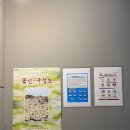 꽃신 구절초 이미지