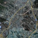 유인선 효우비 Daum카페