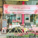 여리들 이미지