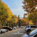 조양공인중개사사무소 이미지