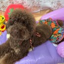 용호유치원 이미지