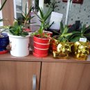 애니카랜드 동대구점 이미지