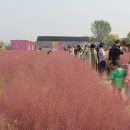 바람새마을 이미지