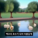 백조의 호수 ♥ (이승준 작사/ 송택동 작곡) 경음악 이미지