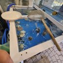 가곡축산 이미지