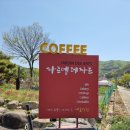 구미 인동 아이와가기 좋은 대형 갤러리 카페 [자르뎅데자르]