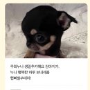[대학생 일상] 대박 행운 오기 5초 전