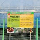 미림농장영농조합법인 이미지