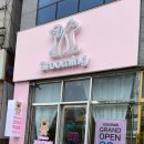 우주펫애견미용 이미지