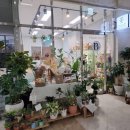 금천가든 | 서울 금천구 '블로썸가든'에서 특별한 꽃 선물 준비! (서울랜드 배우님들 감동 후기)