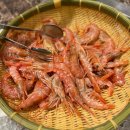 일본여행) 원더팜 토마토 수확 체험(Wonder Farm), 하와이언즈 스파 리조트(Spa Resort Hawaiians)