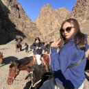 엘스약국 이미지