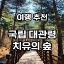 대관령 치유의 숲 이미지