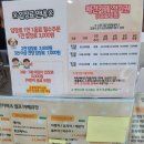 애견카페,애견유치원 멍선생 이미지