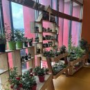 전곡하나로마트 이미지