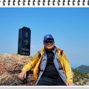 팔팔여행사 이미지