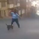 두남자동물병원 이미지