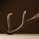 장수왕한의원 이미지