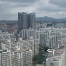 스카이라인주 이미지