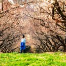 태산 태양광발전소 이미지