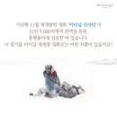 감정의 복잡성, 기억의 왜곡, 사랑의 본질을 찾는 걸작 로맨스 멜로 이미지