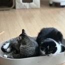 피트니스랩 용강점 이미지