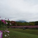 미사경정공원 이미지