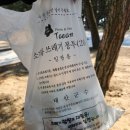 몽산포자동차야영장 | 아이와 함께 갈만한곳 충남 당일치기 몽산포 자동차 야영장 후기