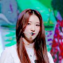 락락 이미지