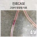 선화로8길 이미지