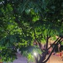 문경히든벨리오토캠핑장 이미지