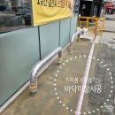 능곡동물병원 | 주차봉 U자볼라드설치 바닥미장시공