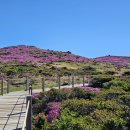 한라산