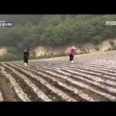 거창-고제-12 이미지