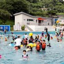 섬진강문화유산재첩 | 아이와 가기 좋은 하동 축제, 섬진강문화재첩축제 체험 후기