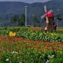 낙동강변 이미지