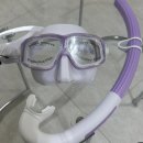 안경닷컴 | 🌊 리더핀 시착하러 다녀온 다이빙 쇼룸 :: 퐁당닷컴 오프라인 매장 내돈내산 후기 🐠