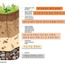 humus(부식물) – the most important element for life on this planet 생명체에 가장 중요한 이미지