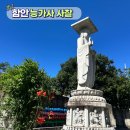 화풍이월체육공원 | 경남 함안 가볼 만한 사찰 낙동강 뷰가 멋진 아담한 사찰, 능가사