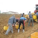 상기농장 이미지