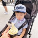 재하목장 이미지