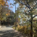 (주)달나라 이미지