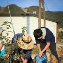힐스톤 캠핑장 이미지