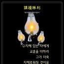 샬롬 Daum카페