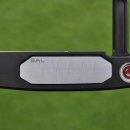 (주)투어페이스 이미지