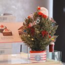 코코하우스(KoKo House) | 달콤쌉싸름한 겨울의 맛 스타벅스 코코말차와 윈터 스카치 바닐라 라떼 후기 윌리 MD 정보 총정리