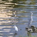 화리한의원 이미지