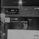 필라테스요가하다필요하다 - 강서구 명지국제8로 259 | 필라테스요가하다필요하다