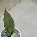 르베르뷰티&아카데미 이미지