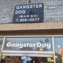 갱스터도그 이미지